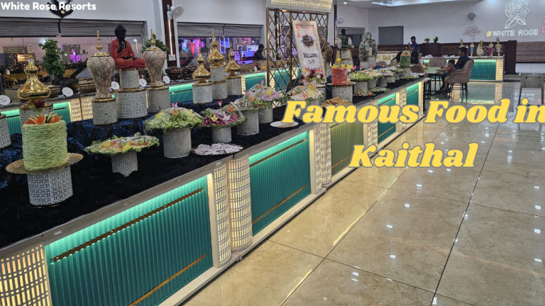 Kaithal Famous Food | A Culinary Journey Through Haryanvi Flavors 