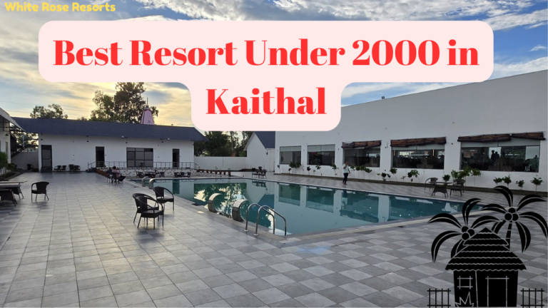 Best Resort Under 2000 in Kaithal: Affordable Luxury at White Rose Resorts 
