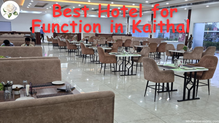 Which is Best Hotel for Function in Kaithal – Celebrate Your Special Events in Style 