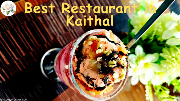 Best Top Rated Restaurant in Kaithal – Haryana, India
