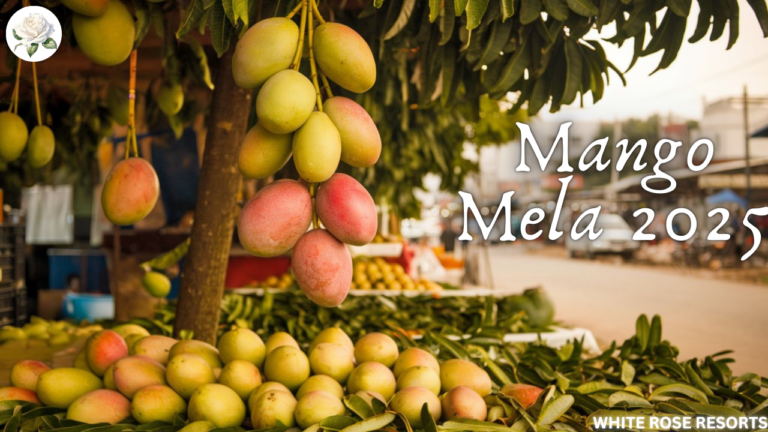 Where is the Mango Mela Celebrated 2025? | Best Mango Festival Guide 