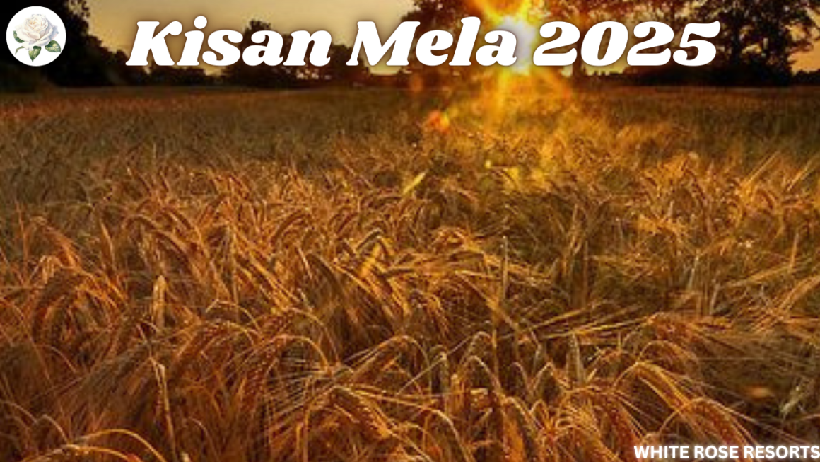 What is Kisan Mela 2025? Celebrating India’s Agricultural Legacy 