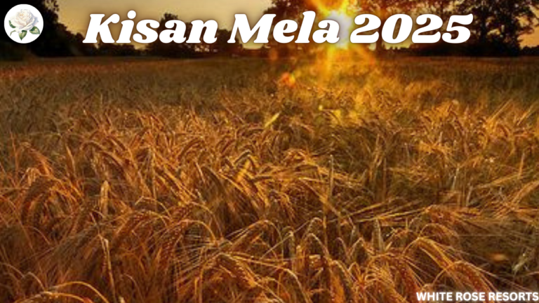 What is Kisan Mela 2025? Celebrating India’s Agricultural Legacy 