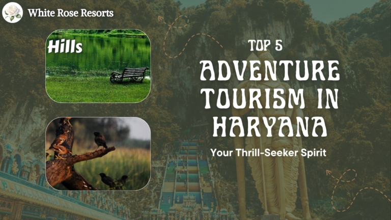 Top 5 Adventure Tourism in Haryana: Your Thrill-Seeker Spirit 