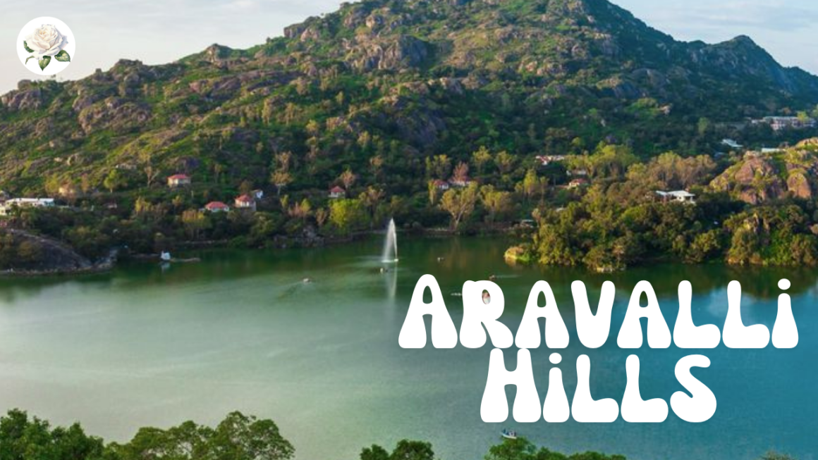 Best Time to Visit Aravalli Hills