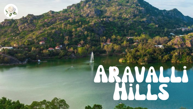 Best Time to Visit Aravalli Hills: Seasons, Weather and Tips 