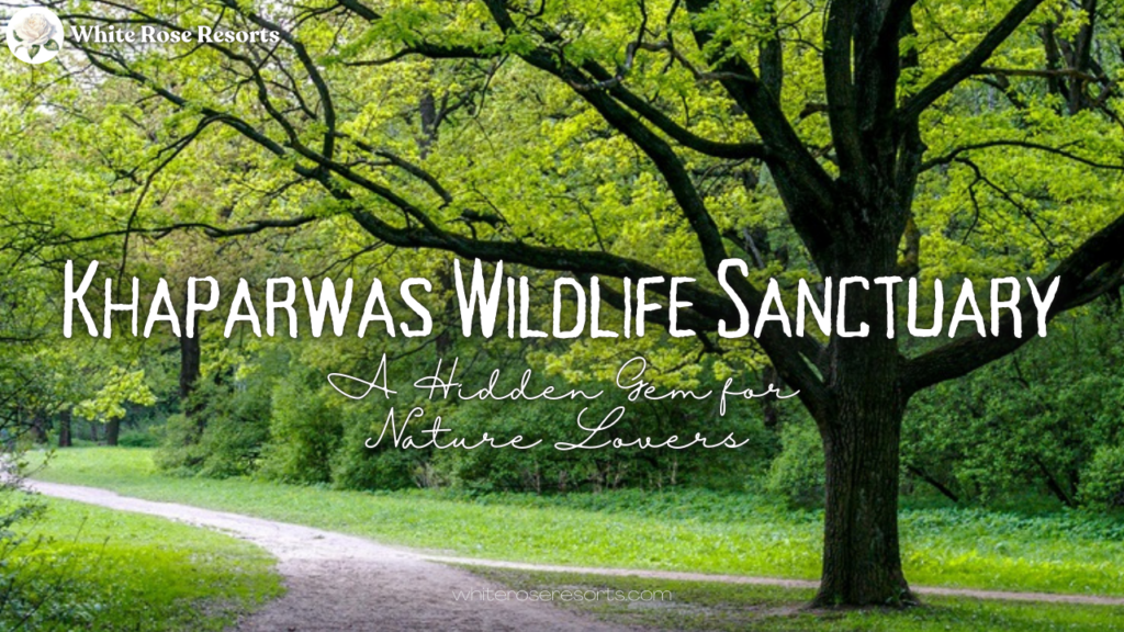 Explore Khaparwas Wildlife Sanctuary: A Hidden Gem for Nature Lovers