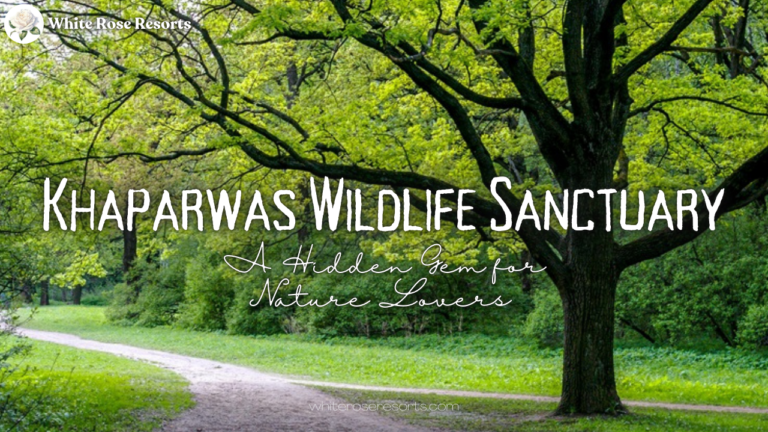 Explore Khaparwas Wildlife Sanctuary: A Hidden Gem for Nature Lovers