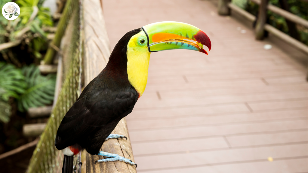 Nature and Wildlife Tourism in Haryana