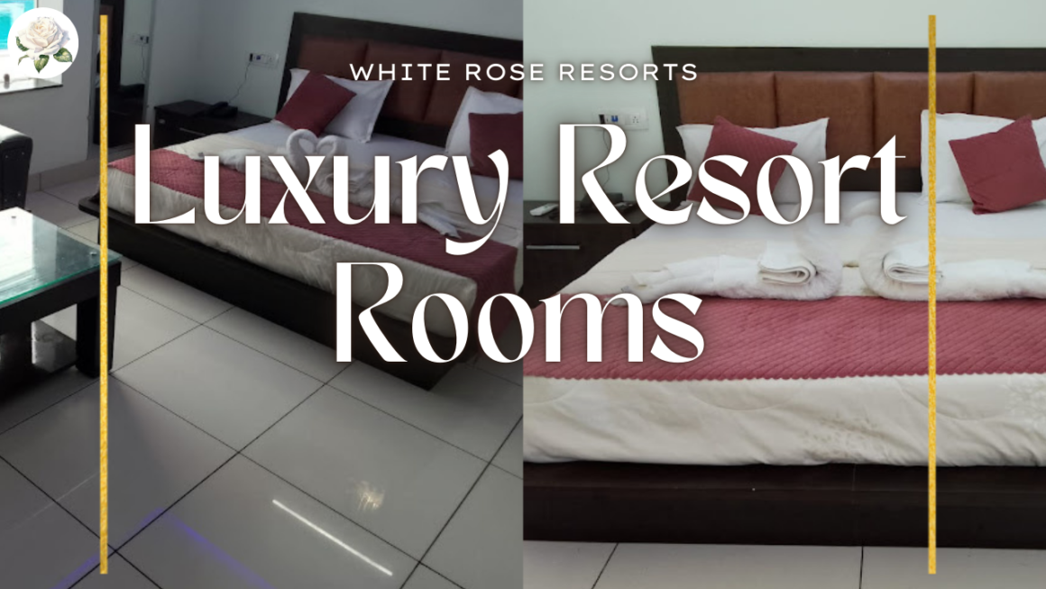 Best Hotel Room in Kaithal: Discover Comfort at White Rose Resorts 