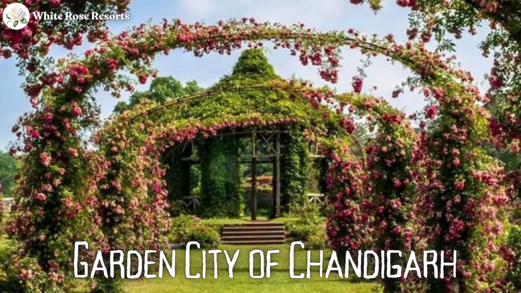 Garden City of Chandigarh