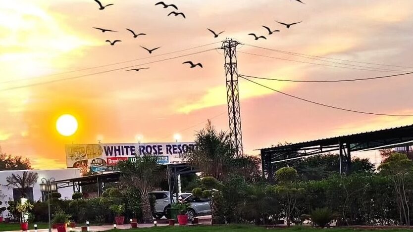 White Rose Resorts