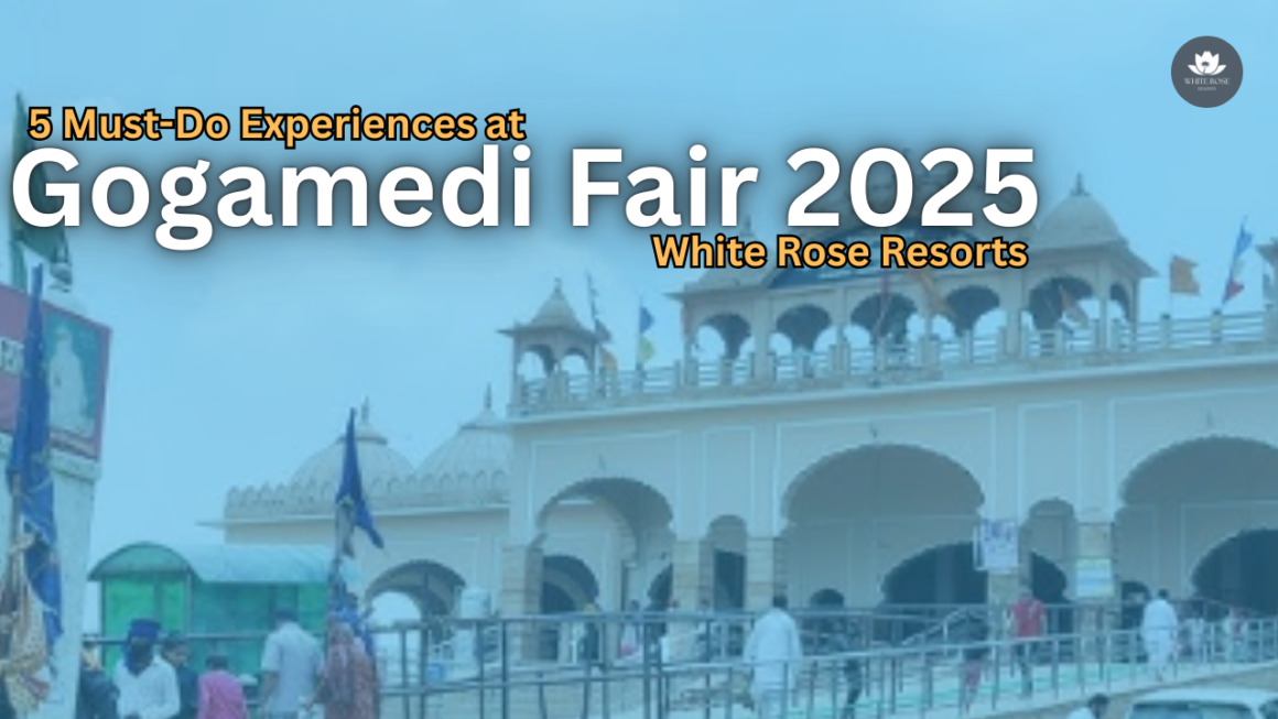 5 Must-Do Experiences at Gogamedi Fair 2025 