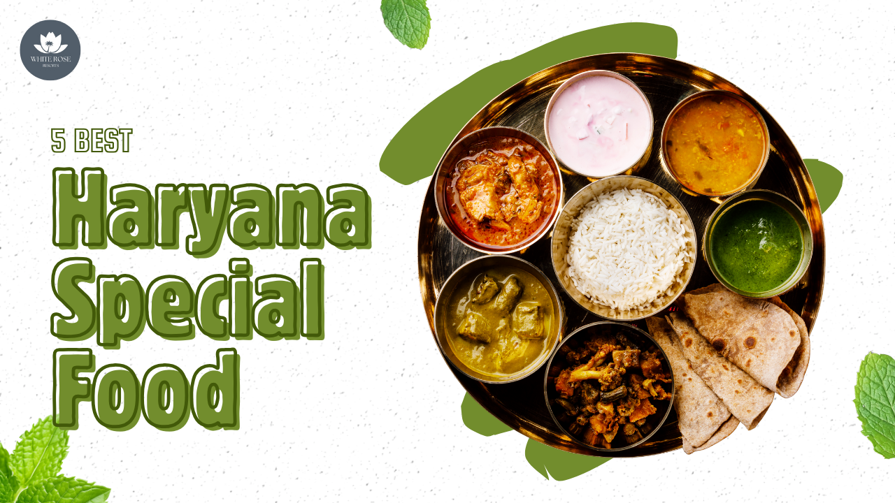 Top 5 Haryana Special Food You Must Try in 2025