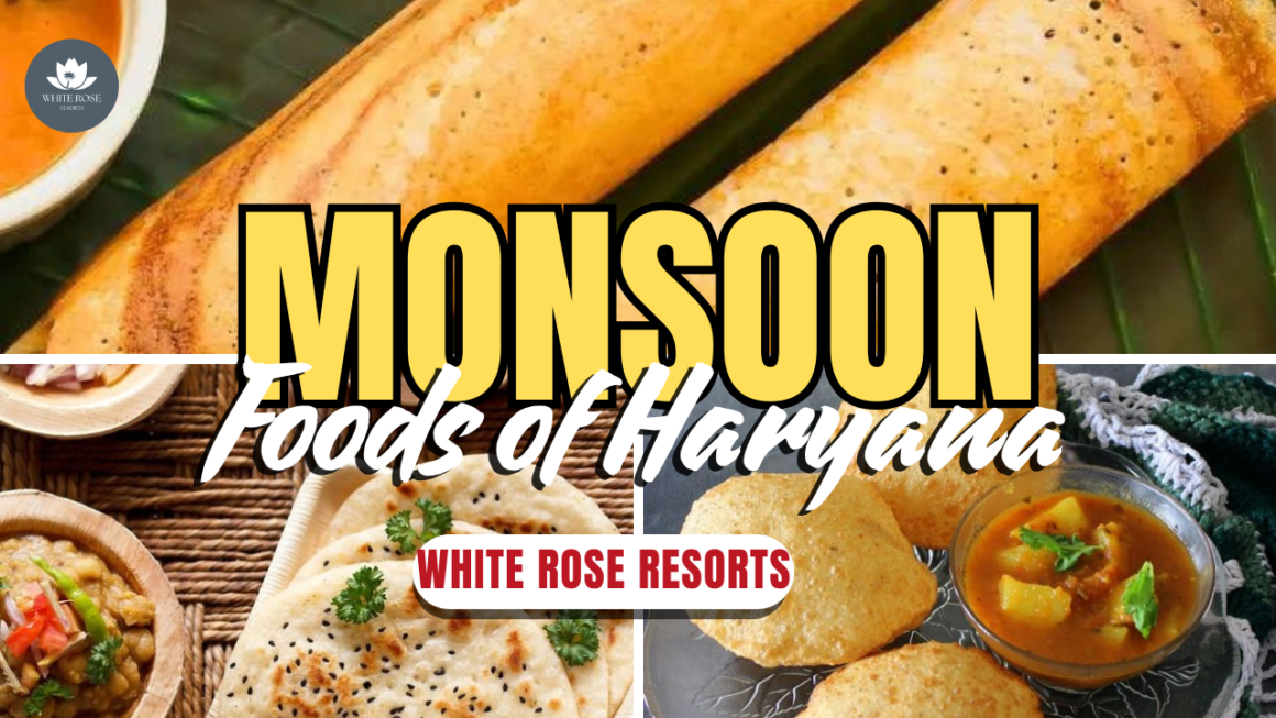 Top 7 Monsoon Foods of Haryana: A Taste of Rainy Season Comfort 