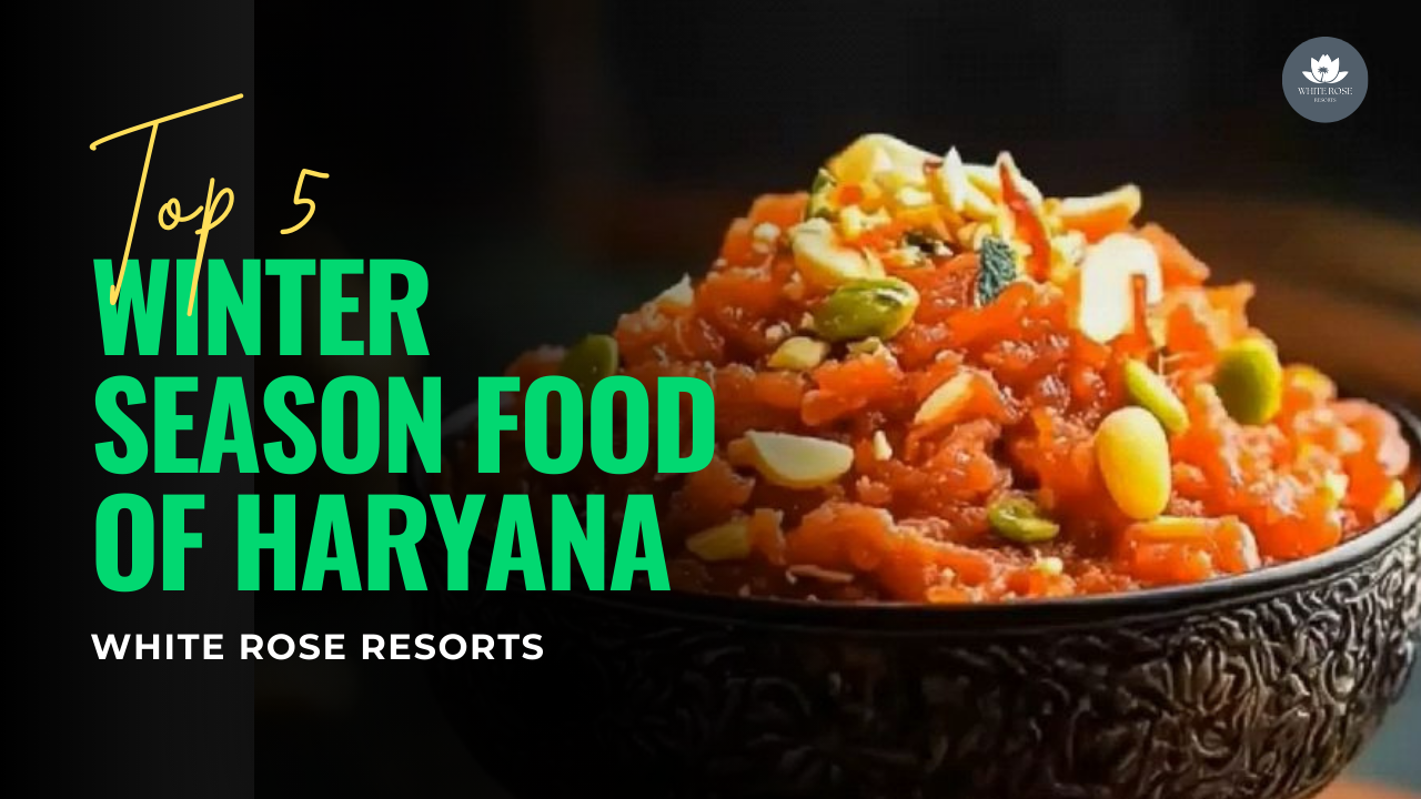 Top 5 Winter Season Food of Haryana - White Rose Resorts