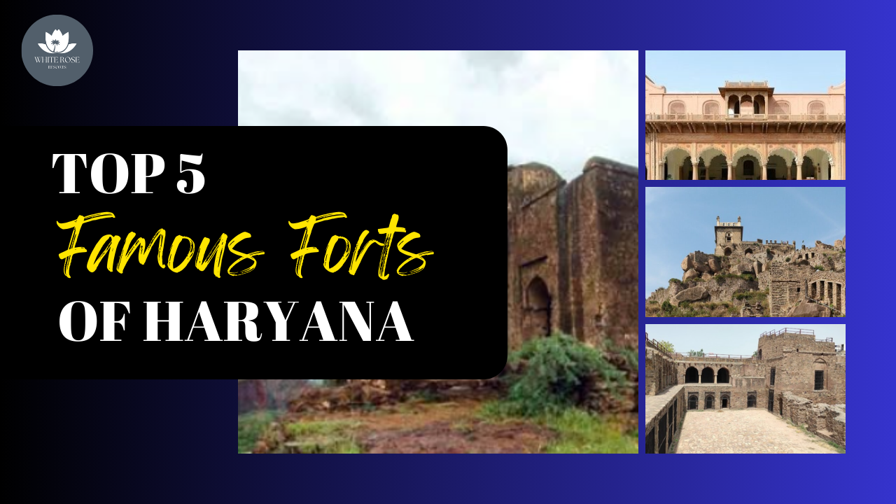 Top 5 Famous Forts of Haryana: Must Visit in 2025