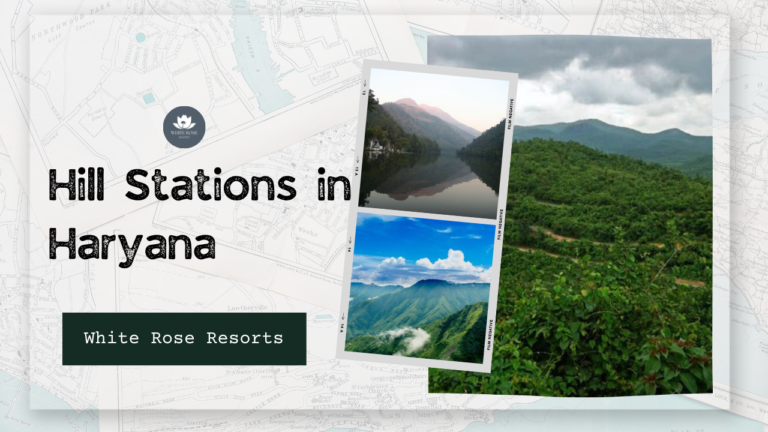 Top 5 Best Hill Stations in Haryana: Perfect Escapes for 2025