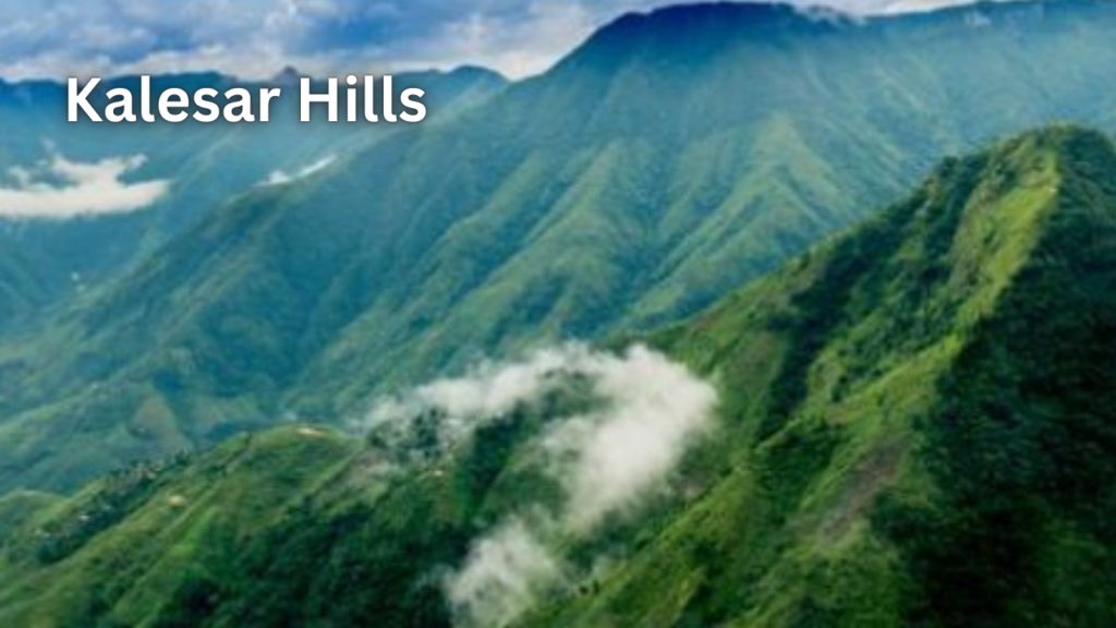 Kalesar Hills