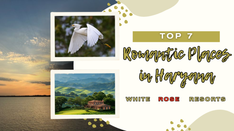 Top 7 Romantic Places in Haryana for Couples