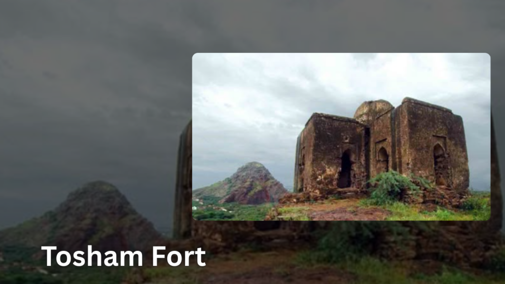 Tosham Fort: Famous Forts of Haryana