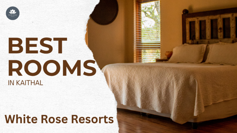 Room Categories at White Rose Resorts: Best Rooms in Kaithal